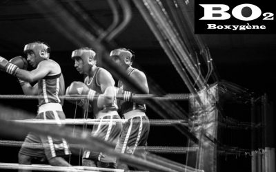 Stage de boxe – du 4 au 9 décembre 2017
