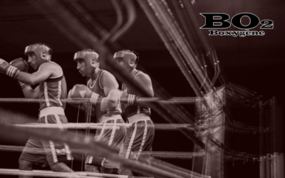 Stage de boxe – du 10 au 15 décembre 2018